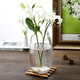 Tongrubi Bureau petit aquarium épaissis épaissis de chair de tortue en verre transparent salon maison de bureau rond mini petit cuve à poisson d'inclinaison 9715