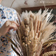 AIMAN natural real flower dried bouquet wedding B&B scene layout reed rabbit tail grass forest decoration clothing store decoration main picture complete set including vase