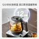 SUPOR health pot tea kettle aerospace grade pure titanium high temperature extraction tea steam spray tea kettle kettle electric kettle office home SW-10C03