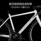 Qianlida Tornado 700 Serie Tornado 500 Bend Road Bicycle Road Fahrzeug Aluminiumlegierung Scheibenbremsgeschwindigkeit Tornado 500 -A2 Gletscher Silber 700c*510 mm, empfohlen ungefähr 178-185 cm 16