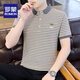 Romon High-End-Hemd-Hemdkragen kurzärmelig T-Shirt Summer Striped Polo Shirt Herreneis Seiden halbärmelig trendy T-Shirt 6626 Gray XL 120Jin [Jin gleich 0,5 kg] ungefähr