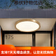 JPHZNB户外吸顶灯别墅大门口门前灯室外过道阳台灯防蚊虫庭 X3893-500/方形