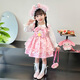 Daniaowang Girls Melody Lolita Princess Dress Spring and Autumn New Long Sleeve Dress Pink Birthday Dress Puff Skirt Velvet Dress + Headwear 130 Sizes