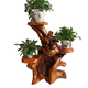 Xushansen Squêtement sculpté en bois massif racine nature naturelle Racine Ornement salon Bonsaï Camphor Wood Flower Pot Stand Art H6189