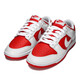 Nike (Nike) Chaussures masculines officielles 2025 Summer New Sports Chaussures amortissantes Chaussures décontractées DD1391-600 44