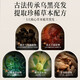 HIEUAILR Heshou Black Ganoderma Lucidum Shampoo Natural Black Hair Blossom and White Hair Turning Black to Treat Hair Roots and Prevent Loss