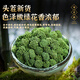 Pékin Tongrentang Yunnan Wenshan Sanqi Flower Field Qihua Store Flagship Flagship Special Grade Chinese Medicinal Materials pour faire du thé. Sanqi Flower 100g, quatre ans, [nouvelles fleurs de 24 ans]