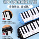 Qimei DHS Organ 37 ÉCHANCES PRIMALES CLÉS Utilisez 32 clés pour les débutants à une école professionnelle Blowing Tube Small Musical Instrument Lettrage [Recommandation de classe étudiante] 37 Clés / Bleu