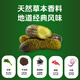 Lasicilia Cuisimber aigre importé 680g / bouteille Coimber aigre russe croustillant Sandwich Sandwich Barger Barbecue Vie
