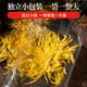 同仁堂（TRT）金丝皇菊独立袋装大朵菊花搭枸杞养生茶1朵*30袋/盒
