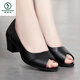 Woodpecker 2025 summer middle heel high heel fish-mouth shoes women's work single shoes comfortable mother shoes thick heel fish-mouth shoes sandals women beige 37