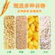 食芳溢科士威即溶速螺旋藻麦片700g谷物营养早餐可比83033 马来西 双捷金雀848g果蔬咸味 2袋(火爆价)