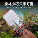 Pet Neighbor Stainless Steel Telescopic Handmade Fishing Net Small Ornamental Fish Guppy Betta Fish Tank 3D Fish Fishing Pocket Fishing Large