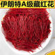Beijing Tongrentang [Extra-grade filament saffron] Iranian saffron authentic saffron gift box packed with tweezers [Extra-grade] Iran imported special filament [Extra-grade filament 10 grams] gift box packed