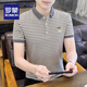 Romon High-End-Hemd-Hemdkragen kurzärmelig T-Shirt Summer Striped Polo Shirt Herreneis Seiden halbärmelig trendy T-Shirt 6626 Gray XL 120Jin [Jin gleich 0,5 kg] ungefähr