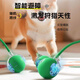 HELLOJOY dog toy bite-resistant ball, automatic dog amusing artifact, self-pleasure and boredom relief pet electric puppy smart elastic dog walking ball
