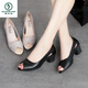 Woodpecker 2025 summer middle heel high heel fish-mouth shoes women's work single shoes comfortable mother shoes thick heel fish-mouth shoes sandals women beige 37