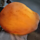 Xinjiang surface seed material raw stone gold silk jade pink meat fine ornaments 2660g