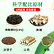 Wansongtang Green Money Willow Tee wildes grünes Geld Willow Tender Blatt Tee Originalblatt Gesundheit Teebeutel Jin Geld Willow Offizielle echte Teebeutel [Qing Qian Liu Tee 1 Schachtel]