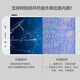 Yanchida eignet sich für Huawei Honor 90/80/70/0010/50/50SE Bildschirmbaugruppe/Mobiltelefon Reparatur/interne und externe Glasanzeige Touch LCD Integrated Screen Honor 90GT Bildschirmbaugruppe [reines Original OLED mit Fingerabdruck]