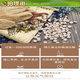 Store officiel de cinq comprimés de trésors Yunnan Wenshan Panax Notoginseng Dendrobium gastrodia salvia salvia ginseng American Five-in-One Authentic Chinese Medicine Shoot 1 Shot 1 (bouteille unique) 10 comprimés de trésors de 10 heaux 250 grammes de 250 grammes