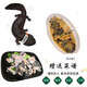Fresh and live giant salamander delivered by SF Express to your home for edible aquatic products and seafood. 4 Jin Jin is equal to 0.5 kg of one fresh and live giant salamander.