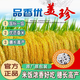 New species Tianxiangyou 2115 Zhuangxiangyou 1205 hybrid high-yielding rice seeds strong-flavor first-class rice long-grain fragrant rice New date new species Xiangyouzhen original x1 bag Total 1 Jin Jin equals 0.5 kg