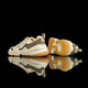 NIKE耐克Nike Tech Hera 男女户外运动缓震防滑耐磨跑鞋 FJ4743-100 DR9761-100 山峰白/光子灰 41
