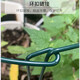 
Iron flower stand plant support semicircular crab claw orchid hydrangea rose green plant vine plant flower stand fixed leaf protection 30cmX50cm (2 pieces)