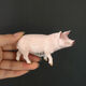 Simuliertes Sau Haus Schwein 13782 Geflügeltiermodell umweltfreundliche PVC -Kinderfüränk