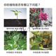Phosphate fertilizer, superphosphate flower fertilizer, vegetable fertilizer, root strengthening fertilizer, soil conditioning fertilizer, vegetable growing fertilizer, agricultural fertilizer for growing flowers, high concentration phosphate fertilizer 100 Jin Jin equals 0.5 kg