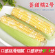 Dao Yufeng Agriculture National Approved Желтые и белые зернистые семена кукурузы воскового цвета Huitiannuo № 2 Свежая восковая кукуруза в оригинальной заводской упаковке Huitiannuo № 2 Желтые и белые зернистые семена кукурузы 1 пакетик по 100 г/пакет