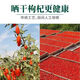 Gansu Jingyuan Wolfberry Bag Erste Stoppeln Wolfberry Authentisch Jingyuan Spezialfaktor Straight Hair Bulk in Wasser und Tee Tonic Gansu Jingyuan Wolfberry 500g
