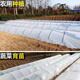 Runhuanian white transparent agricultural thickened small shed special film vegetable field insulation film winter 4 meters wide 4 wires thick agricultural small shed film 10 meters long