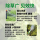 Fanbang 66.7% Triclofenac forest kills shrubs and malignant weeds by injecting broad-leaf root rot pesticide herbicide