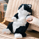 Sunlemonoriginal Japón la nueva rodilla de gato suave de japón Sleepy Sleepy Plush Toys for Girls Birthday Gifts Tuxedo Sleepy Cat P-1283 Altura 47cm*Ancho 22cm