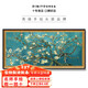 礼莎盛开的杏花 梵高纯手绘油画欧式客厅装饰画现代卧室餐厅饭厅挂画 692金框 200X100