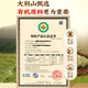 同仁堂破壁灵芝孢子粉礼盒装送长辈成年中老年增强免疫力年货礼品90g/盒 【性价比装】灵芝孢子粉6盒装 赠礼袋
