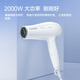 FLYCO hair dryer household hair salon high power 2000W fast-drying constant temperature portable foldable white FH6232