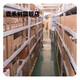 骓壹OPA695IDR   SOIC-8  TI全新原装现货 50-200个 SOIC-8