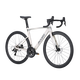 Xidesheng Road Bike 2025 AD300 Adult Cycling Sports Fitness Student Speed Transmission Bike White Snake 20 Speed 510mm