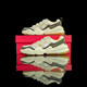 NIKE耐克Nike Tech Hera 男女户外运动缓震防滑耐磨跑鞋 FJ4743-100 DR9761-100 山峰白/光子灰 41
