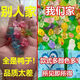 Yusenyi mignon animal lumineux petit sac aveugle petit ornement fille coeur mignon internet célébrité cochon petit animal simulation caricaturé carton blind sac aveugle mystérieux sac aveugle - 100 sacs