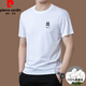 Pierre cardin high-end brand summer 2025 new high-end embroidered short-sleeved top thin round neck cool ice silk T-shirt khaki [Ti13062] L 170 [suitable for weight 120-135Jin [Jin equals 0.5 kg]]