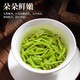 
Looking for the West Lake Longjing Tea Green Tea 2025 New Tea Mingqian Mingming Bean-flavored and tender buds tea Longjing canned 50g