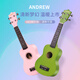 Andrew (Andrew) Anfänger 21-Zoll-Ukulele-Kinder kleine Gitarre Orange Limited 50 Stück 21-Zoll [Kohlefaser] Glitzer Orange + Zubehör