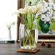 Tongrubi Bureau petit aquarium épaissis épaissis de chair de tortue en verre transparent salon maison de bureau rond mini petit cuve à poisson d'inclinaison 9715