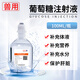 Senao 5% glucose injection 100ml pet dog veterinary supplementary body fluid nutrition hydration dehydration infusion