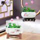 Jiuqianggu Céramique Pot de fleur narcisse bassin eau Lily bol lotus cuivre herbe hydroponique hydroponique fleurs d'élevage de fleurs de fleurs vertes pot avec base 3888