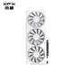 Xunjing (XFX) AMD Radeon RX 9070 XT Snow Wolf 16GB White New E-Sports Design Game Game Learning Desktop Computer Card Independent Graphics Tarjeta